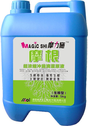 �_ʩ��(������)