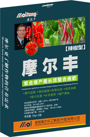 �����~���