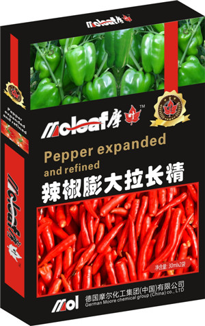 �����~���(����������L(zh��ng)��)