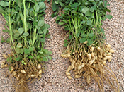 ����ˮ�ܷ�Ч��ԇ򞡾��ԭ��