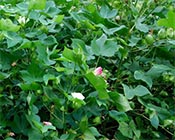 �������~��������޻��߮a��