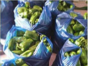 ��������ˮ�ܷ�Ч���������|����Դ��