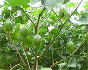 ��������~���,�޻������~���Ч����