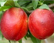 ���қ_ʩ���ˮ�ܷ�Ч��������