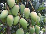 â��ˮ�ܷ�ʹ��Ч�����Ĵ���