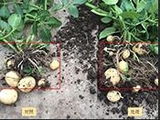 �����ֵ؅^��������Ħ��ˮ�ܷ�Ч��������