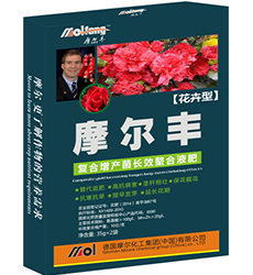 �~���(���܌���)