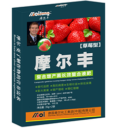 ��ݮ�~���