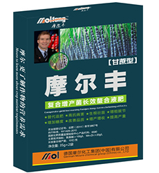 �����~���