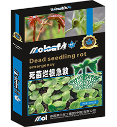 ���砀������