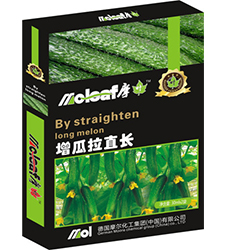 ������ֱ�L(zh��ng)