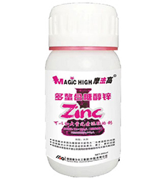 �������Ǵ��\