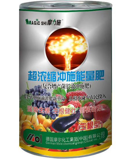 ����s�_ʩ��(������)