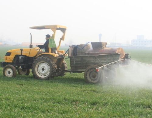 大元素水溶肥和復合肥能同時用嗎 大元素水溶肥和復合肥能同時用嗎