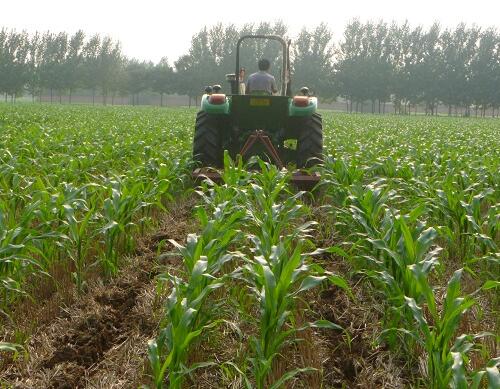 含腐植水溶肥缺點 含腐植水溶肥缺點