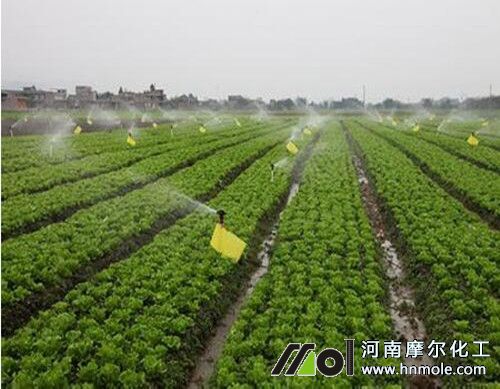 Һ�w�ͺϷʃ��c