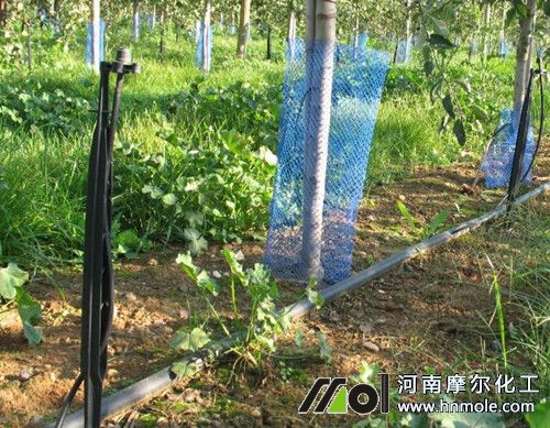 Һ�w�ͺϷʃ��c