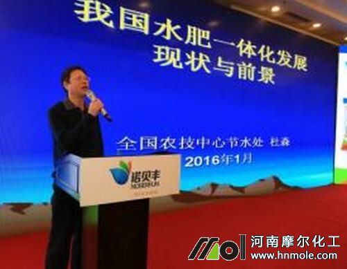 Һ�w�ͺϷʰlչǰ��