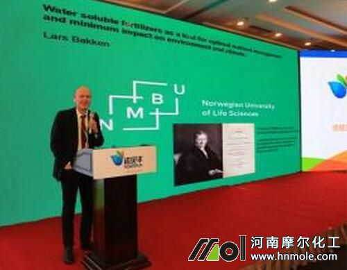 Һ�w�ͺϷʰlչǰ��