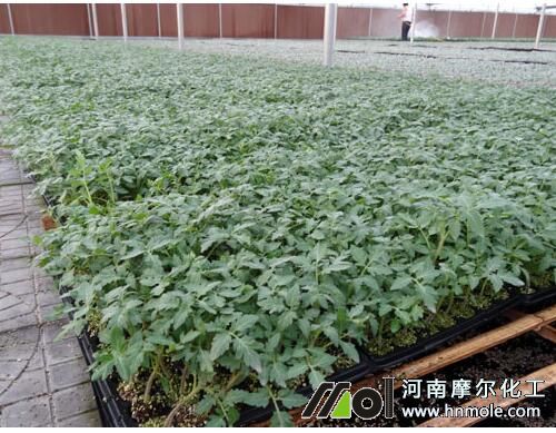 ���t����׷��