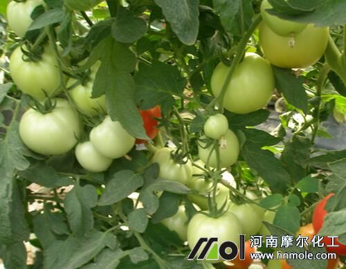 ���t�Y����׷��