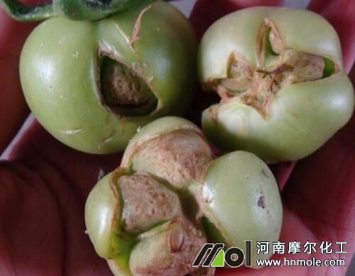 ���ѿ���ԭ��