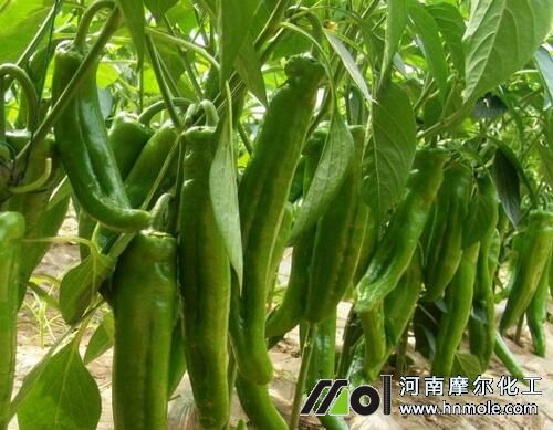 �����仨���ԭ��