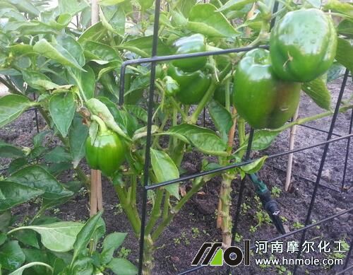 ����ˮ�ܷ�ʩ��