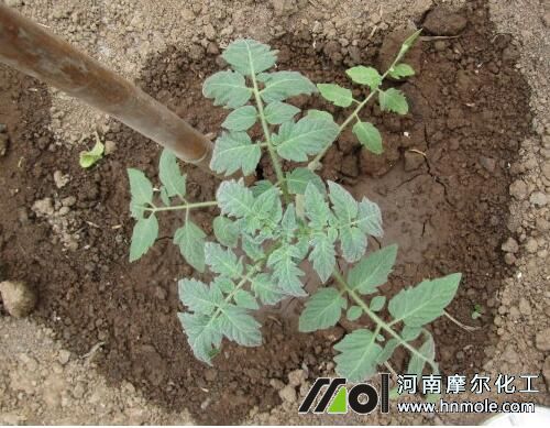 ��������׷ʩˮ�ܷ�