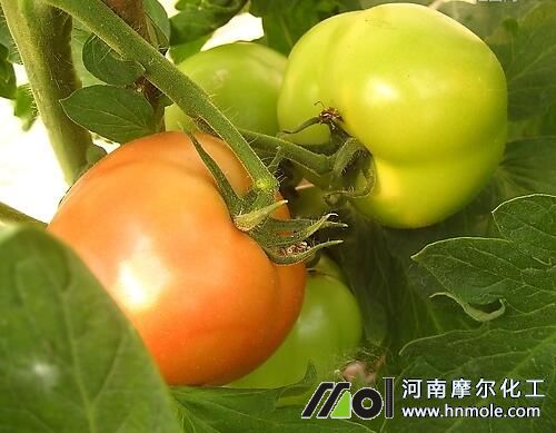 ���ѽY����׷ʩˮ�ܷ�