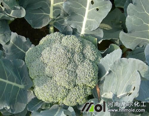 ���m��׷�ʕr�g