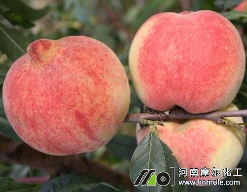 �Ҙ�(sh��)������c(di��n)