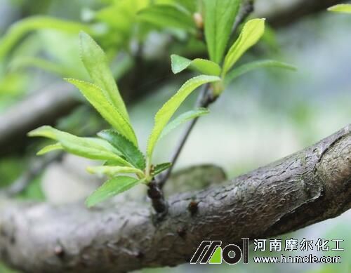 �Ҙ�(sh��)�l(f��)ѿ��׷ʩˮ�ܷ�