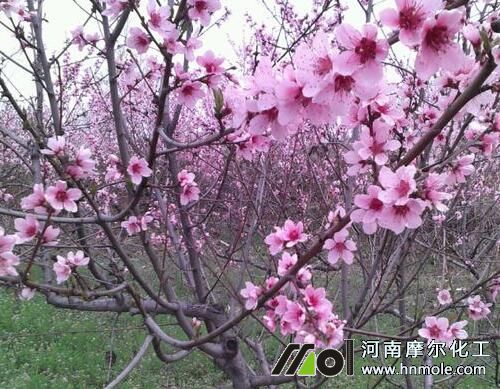 �Ҙ�(sh��)��ǰ׷ʩˮ�ܷ�