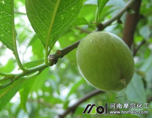 �Ҙ�(sh��)�Y(ji��)����׷ʩˮ�ܷ�