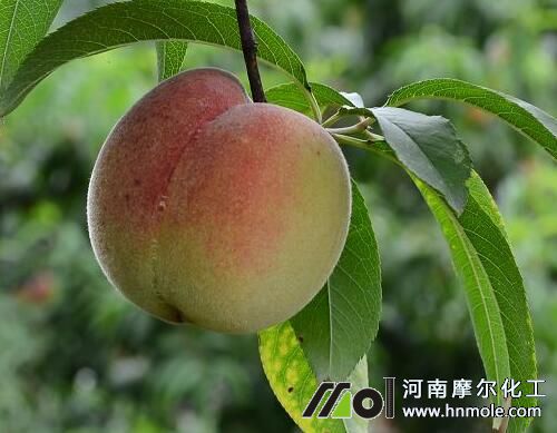 �Ҙ�(sh��)�ɹ���׷ʩˮ�ܷ�