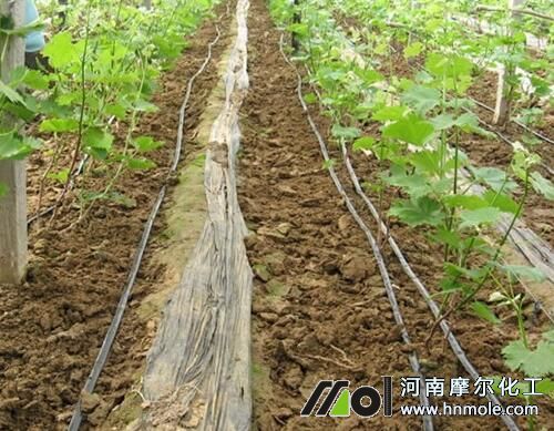 ��Qˮ�ܷʵι�������^�F��