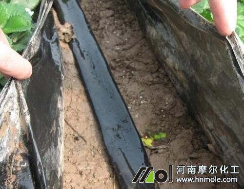 �ι��O���B�o