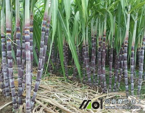 ����������c(di��n)