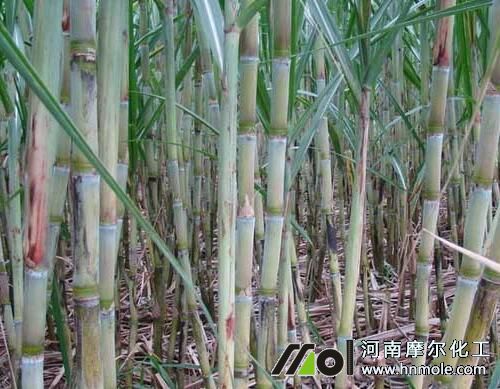 ������Y��׷ʩ�ߵ��ˮ�ܷ�