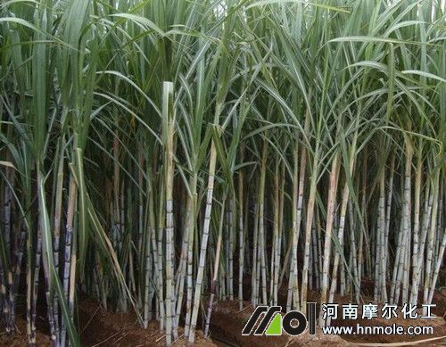 ���ṥ�o��׷ʩ����ˮ�ܷ�