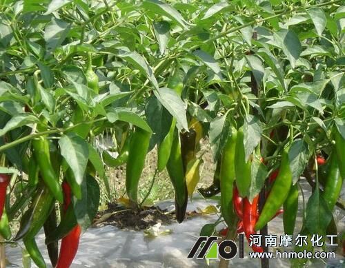 �����Y(ji��)����׷ʩˮ�ܷ�