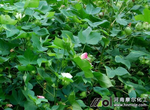 �޻�ʩ���~���Ч��