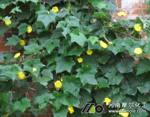 �z��ֻ�_�����Y(ji��)��ԭ��