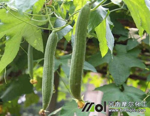 �z��ֻ�_�����Y(ji��)��ԭ��