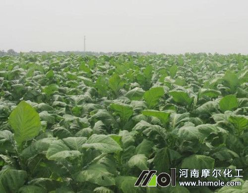 ����������c(di��n)