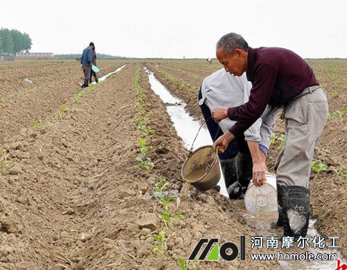 ��������׷�ʷ���