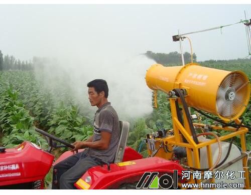 �����~��׷�ʷ���