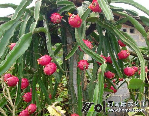 ������׷��