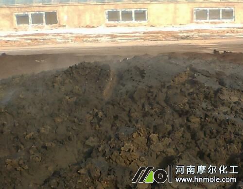 種植大蒜追施越冬肥 種植大蒜追施越冬肥